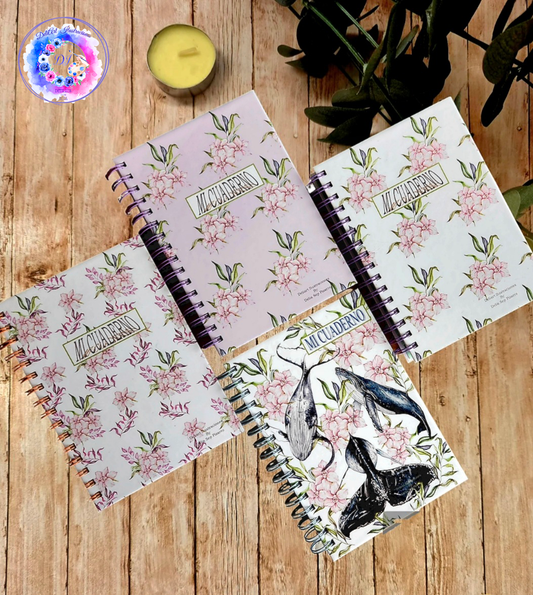 Cuadernos