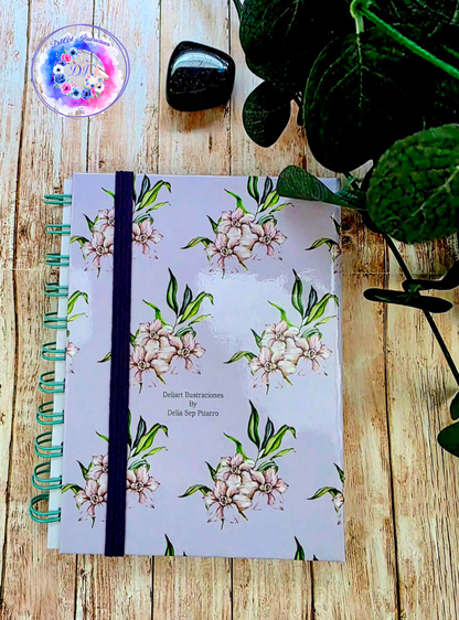 Cuadernos